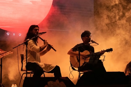 কাকতাল আর গাইবে না
