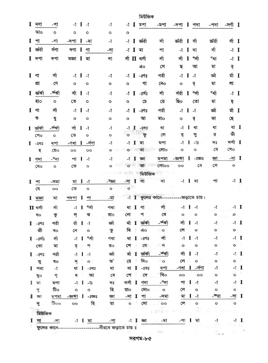 85_1791954286.jpg